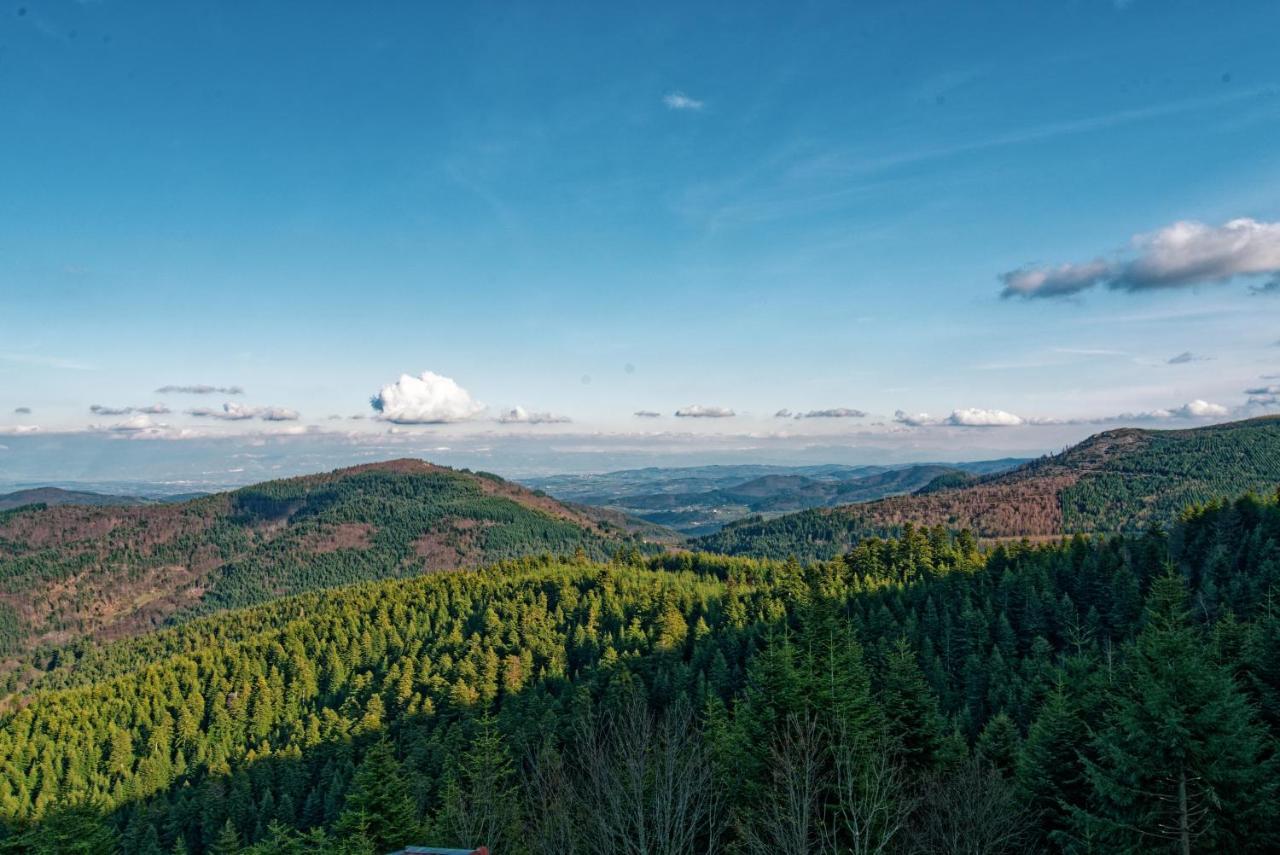 Bed and Breakfast Le Mont Besset Lalouvesc Экстерьер фото